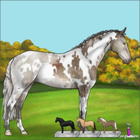 Horse Color:White Spotted Silver Brown Dun Mushroom Brindle 