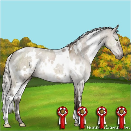 Horse Color:White Spotted Silver Brown Dun Mushroom Brindle 