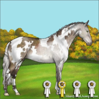 Horse Color:White Spotted Silver Brown Dun Mushroom Brindle 