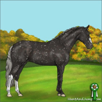 Horse Color:Liver Chestnut Mushroom Snowflake Varnish 