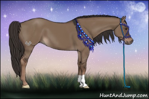 Horse Color:Liver Red Dun 