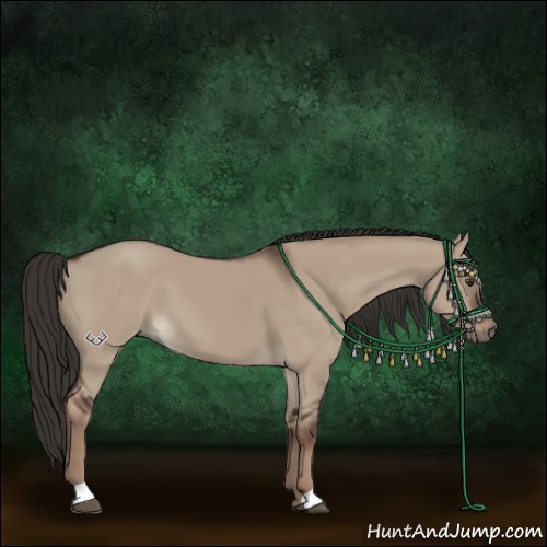 Horse Color:Liver Red Dun 