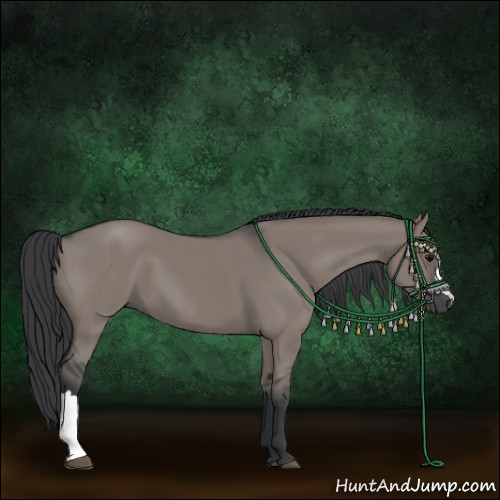 Horse Color:Grullo 
