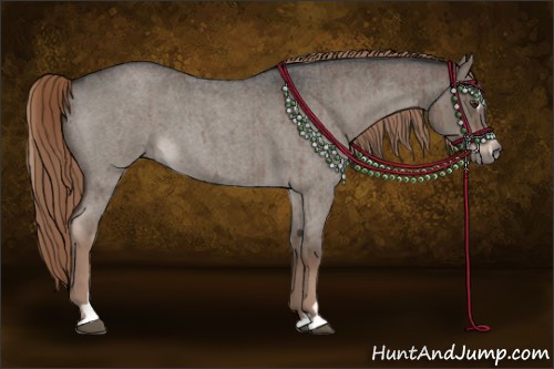 Horse Color:Liver Red Dun Roan Sabino Brindle