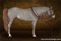 Horse Color:Liver Red Dun Roan Sabino Brindle
