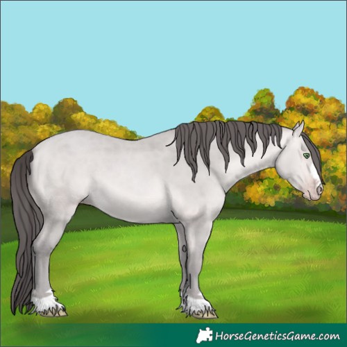 Horse Color:Platinum Sable Cream Champagne Rabicano 