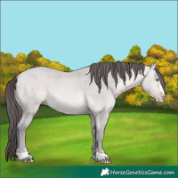 Horse Color:Platinum Sable Cream Champagne Rabicano