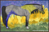 Horse Color:Grullo Roan Brindle 