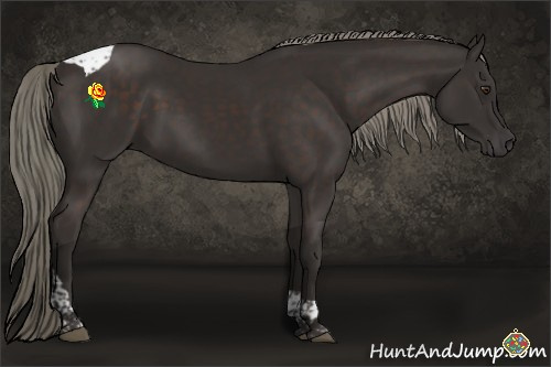 Horse Color:Liver Chestnut Mushroom Tobiano 
