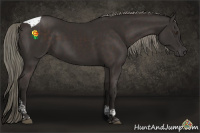 Horse Color:Liver Chestnut Mushroom Tobiano 