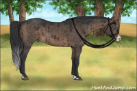 Horse Color:Brown Dun Splash Brindle