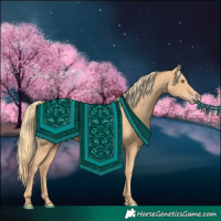 Horse Color:Gold Champagne 