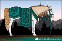 Horse Color:Red Dun Splash