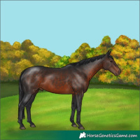 Horse Color:Brown 