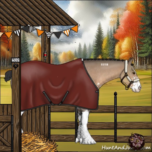 Horse Color:Brown Dun Sabino Rabicano 