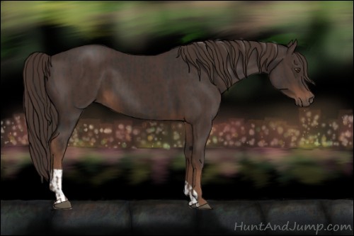 Horse Color:Liver Chestnut and Liver Chestnut
