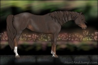 Horse Color:Liver Chestnut  and Liver Chestnut 