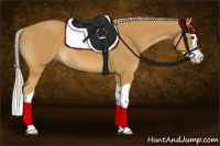 Horse Color:Palomino Splash 
