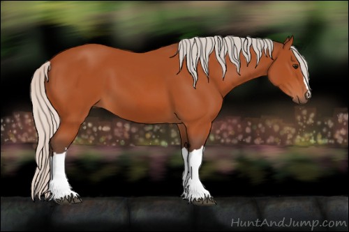 Horse Color:Silver Bay 