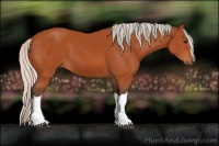 Horse Color:Silver Bay