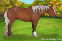 Horse Color:Silver Bay