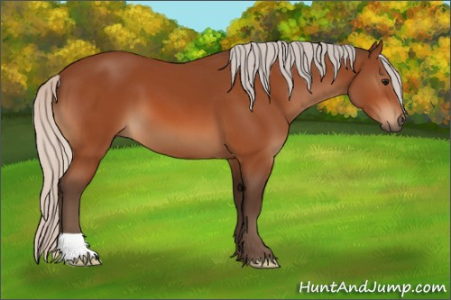 Horse Color:Silver Bay