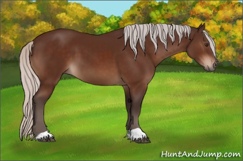 Horse Color:Silver Brown 