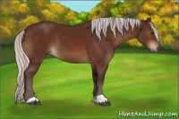 Horse Color:Silver Brown 