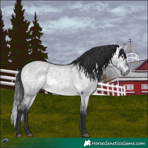 Horse Color:Bay Chinchilla Roan Dun 