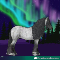 Horse Color:Midnight Blue Onyx Chinchilla Ice Roan 