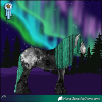 Horse Color:Void Painted White Spotted Brown Chinchilla Onyx Tobiano Rabicano