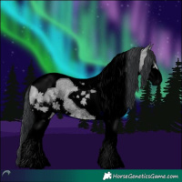 Horse Color:Void Bay Chinchilla Splash Tobiano Rabicano 