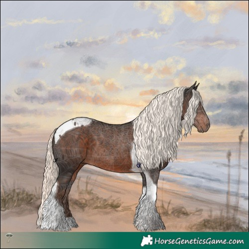 Horse Color:Liver Chestnut Mushroom Tobiano 