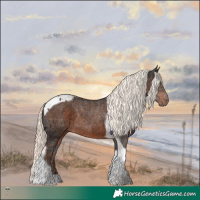 Horse Color:Liver Chestnut Mushroom Tobiano