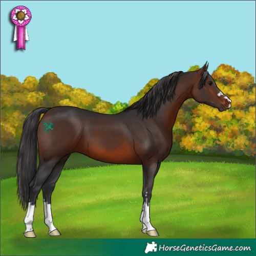 Horse Color:Brown 