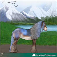 Horse Color:Liver Chestnut Mushroom Rabicano