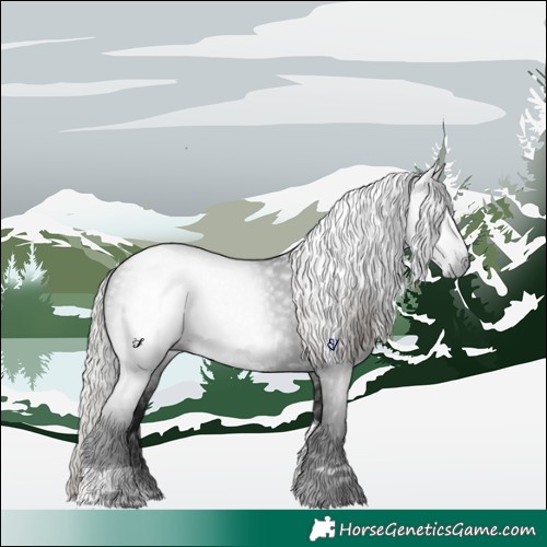 Horse Color:Gray Silver Brown Tobiano 