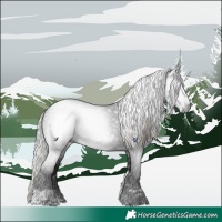 Horse Color:Gray Silver Brown Tobiano 