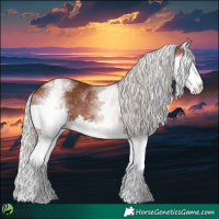 Horse Color:White Spotted Silver Brown Splash 