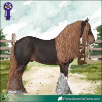 Horse Color:Liver Chestnut Tobiano 