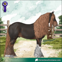 Horse Color:Liver Chestnut Tobiano