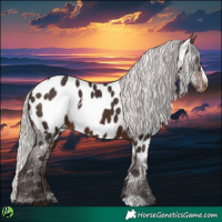 Horse Color:White Spotted Silver Brown Frame Near Leopard 