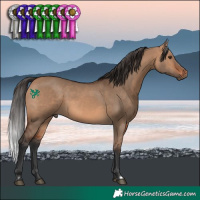 Horse Color:Bay Dun