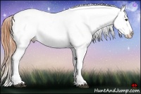 Horse Color:Buckskin Roan Dun Appaloosa 