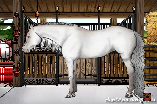 Horse Color:Gray Classic Champagne Dun 