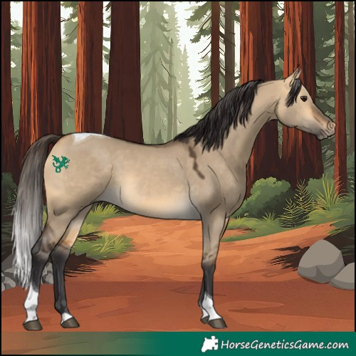 Horse Color:Buckskin Dun Tobiano Rabicano