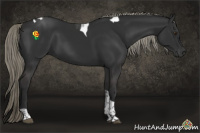 Horse Color:Liver Chestnut Mushroom Tobiano 