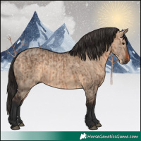 Horse Color:Bay Dun and Bay Dun