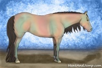 Horse Color:Amber Champagne