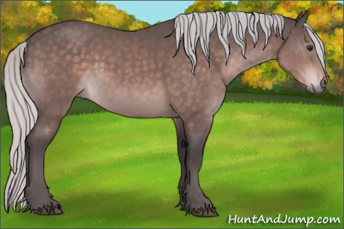 Horse Color:Platinum Silver Brown Rabicano 